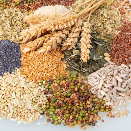 Estudio del Mercado Argentino de Semillas de Cereales y Oleaginosas