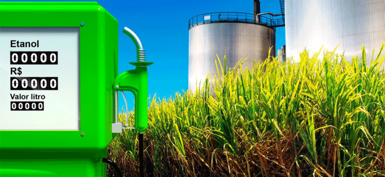 Estudio del Mercado Argentino de Biocombustibles