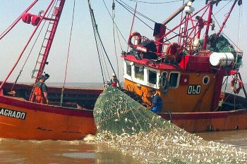 Estudio del Mercado Argentino de Pesca 