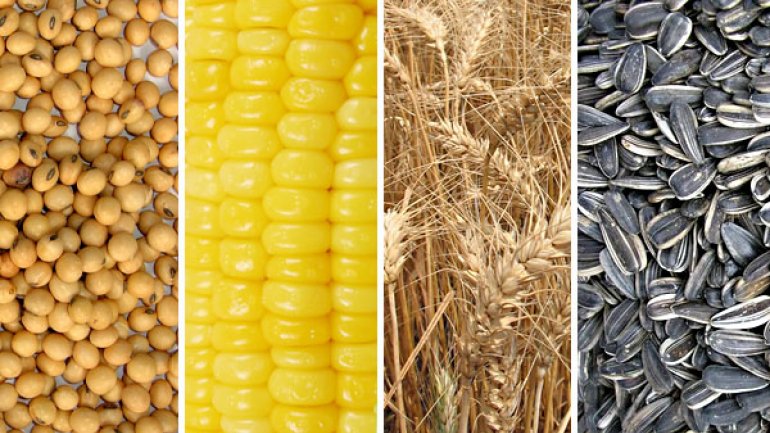 Estudio del Mercado Argentino Agrícola (maíz, trigo, soja y girasol)