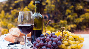 Estudio del mercado argentino de vinos y bodegas